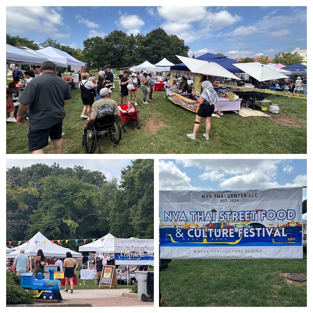 A Flavorful Journey at the Thai Food Festival in Manassas travel photo from Travel n Taste Journal.