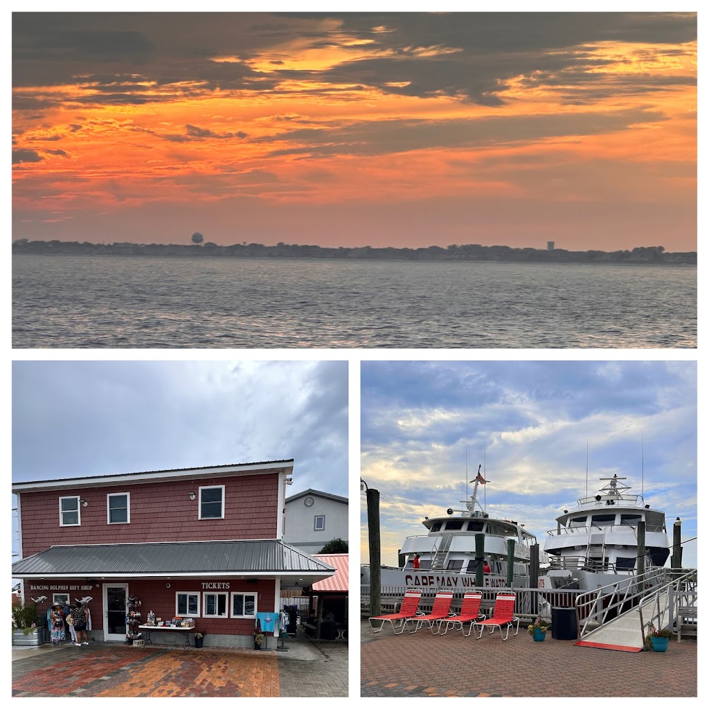 Dolphin Watching in Cape May - A Perfect Escape from Atlantic City travel photo from Travel n Taste Journal.