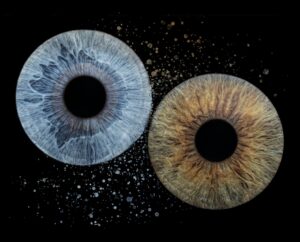 Personalized iris artwork display at Scio Art in Washington DC.